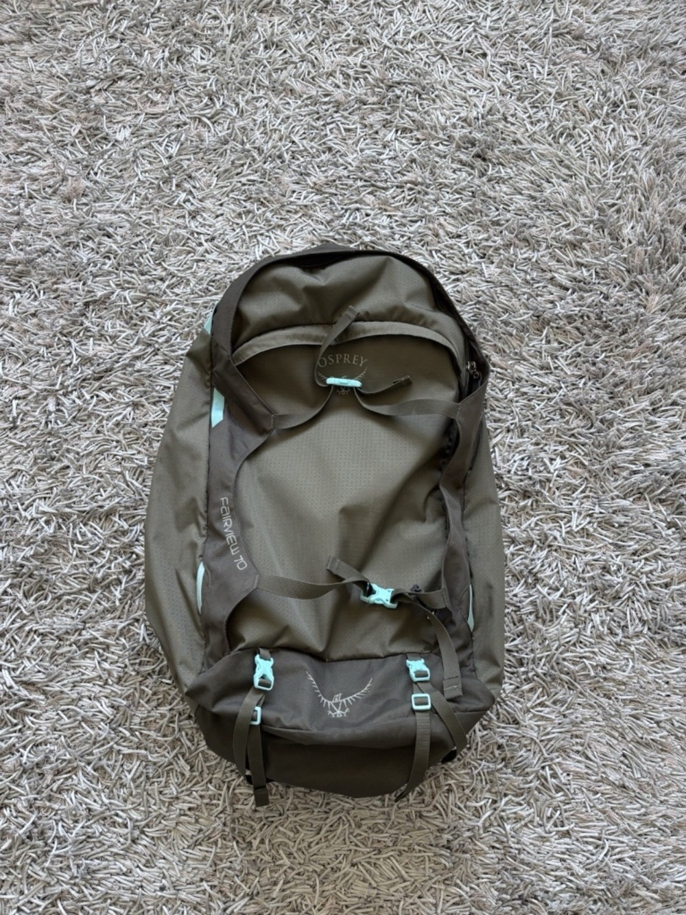 Fairview 70L Travel Backpack in Green Olive / Blue Authentic❤️ - Picture 1 of 12